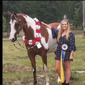 Meet your Posher, Jaimie